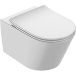 Wc suspendu sans bride jacob delafon bastille carn + abattant