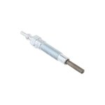 Weber - bougie de prchauffage pour smokefire code 7009