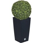 Ensemble de pots rato 35 litres avec insert 28, 7 x 28, 7 x 55 cm de couleur anthracite + boule de buis ... Ensemble de pots rato 35 litres avec insert 28, 7 x 28, 7 x 55 cm de couleur anthracite + boule de buis ...