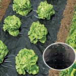 Film perc� de paillage potager werka pro
