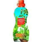 Eau cactus & plantes grasses - solution nutritive - westland