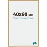 Yd. - cadre photo 40x60 - htre clair - plastique - annecy