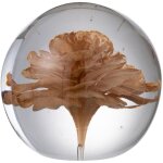 Jolipa - presse - papier sulfure fleur en verre 10 cm