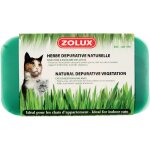 Herbe dpurative naturelle pour chats zolux