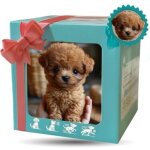 025 nouveau robot dog, smart ai robotic dog plush toy, mes promenades de chiots robot r�alistes, barks ...