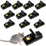10 clips de piege a rat réutilisables, hygiénique efficace avec récipient d'appât amovible, tapette souris ... 10 clips de piege a rat réutilisables, hygiénique efficace avec récipient d'appât amovible, tapette souris ...