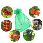 100 pièces de graffiti en raisin, queue : 30 x 20 cm, couleur : vert, avec cordon, donne protection totale ... 100 pièces de graffiti en raisin, queue : 30 x 20 cm, couleur : vert, avec cordon, donne protection totale ...