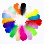 100 plumes multicolore, multicolore plume décoration, idéal pour costumes, chapeaux, décoration d'intérieur ... 100 plumes multicolore, multicolore plume décoration, idéal pour costumes, chapeaux, décoration d'intérieur ...