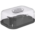 Boite a fromage gris