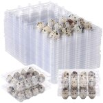 Fitags - 100pcs 12 grilles boîte d'oeufs de caille oeuf de caille cartons réutilisables boite de rangement ... Fitags - 100pcs 12 grilles boîte d'oeufs de caille oeuf de caille cartons réutilisables boite de rangement ...