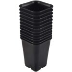 12 pi�ces s�ries - pack pot de plantes succulentes en plastique carr� noir pour fleurs cactus, etc. , ...