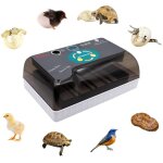 12 ?ufs incubateur automatique affichage num�rique couveuse contr�le temp�rature automatique pour plusieurs ...