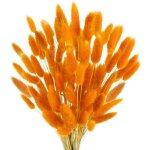 120 fleurs s�ch�es orange style boh�me, mati�res premi�res coupables librement pour salon, bureau