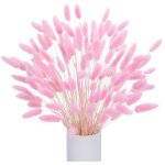 120 pcs pampa sches naturelle dcoration, herbe de la pampa fleurs sches dcoration bouquet de fleurs ...