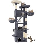 185 cm arbre  chat, grande tour  chat pour chats d'intrieur