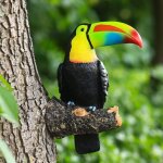 1pc figurine de toucan, oiseau artificiel en rsine, statue d'animal de jardin  suspendre pour dcoration ...