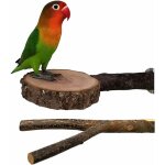 2 pcs perchoirs en bois naturel pour perroquet, perchoirs interactifs pour cage  oiseaux, jouets pour ...