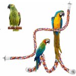 2 pices perroquet corde  grimper jouets oiseaux pour perroquets perchoirs pour oiseaux balanoire en ...