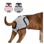 2 pi�ces 37 - 55cm couche r�utilisable pour chien, culotte physiologique, culotte hygi�nique, lavable, ...