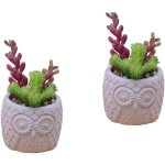 2 pi�ces bonsa� succulent simul� fake plants decoration interieure d�coration salon home decor mini plantes ...