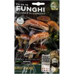 20 gousses de myc�lium de shiitake, vari�t� lentinula edodes, culture naturelle, �cologique et durable, ...