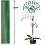 24 pcs tuteur plante orchid�e 45cm, tuteur plante int�rieur plastique piquets de support pour plantes ...