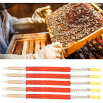 25 pi�ces aiguilles de greffe de larves d'apiculture outil d'�levage de reine des abeilles �quipement ...