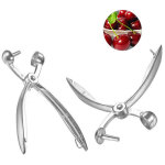 2pcs denoyauteur a cerise olives pitter noyaux extracteur raisins cranberries extracteur de cuisine outil ...