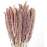 30 pcs herbe de la pampa, 60 cm naturel pampa fleur bouquet de fleurs sechees pour vases, boho decoration ...