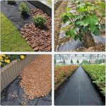 30 pices tiquettes de plantes en bambou, marqueurs de plantes de type arbre vert tiquette de jardin ...