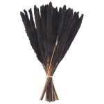30 tiges d'herbe de pampa noire, 43 cm, naturelles et s�ch�es