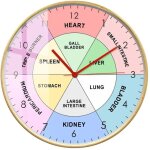 30cm pendule murale silencieuse organe chinois tcm horloge corporelle mdecine traditionnelle chinoise ...