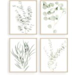 4 affiches botaniques d�co murale feuilles eucalyptus, sans cadre (8x10)