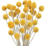 40pcs fleurs s�ch�es naturelle d�coration 40cm boules de fleurs s�ch�es naturelles bouquet fleurs s�ch�es ...