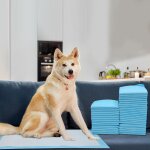 Rnemitery - 40x tapis pour chiots puppy absorbant tapis de toilettes pour chiens 60x60cm