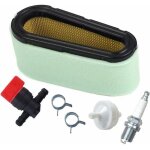 496894 kit filtre  air et pr - filtre pour briggs &stratton 12. 5 - 17 hp 494768 tondeuse  gazon