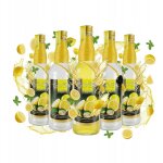 5 bouteilles en verre d�coratives de vodka au citron monopol, 500 ml