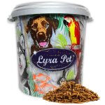 5 kg de lyra pet� m�lange de vers de farine / larves de mouches soldats dans un tonneau de 30 l