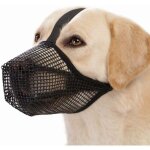 L (50 - 75 kg) noir, nouveau masque pour chien � longue bouche emp�che les chiens de manger en d�sordre ...