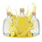 50 bouteilles asteria de 500 ml avec bouchon pour liqueurs