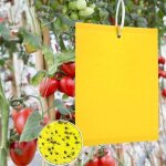 Jamais utilis]50 pices piges  insecte, pieges collants double face, jaune papier anti - insecte anti ...