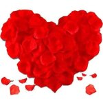 5000 pi�ces artificielles p�tales rouge tissu non tiss� mariage saint valentin f�te d�coration p�tales ...