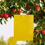 50pcs pi�ges � insecte, pieges collants double face, jaune papier anti - insecte anti blanc feuille de ...