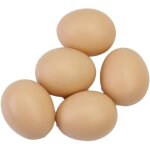 5pcs faux oeuf poule artificielle volaille coop nid en plastique pratique et pratique, aafgvc