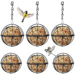 6 pi�ces mangeoire oiseaux exterieur noir en m�tal, diam�tre 7 cm, cha�ne 24 cm, boule de graisse oiseaux ...