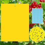 6 pièces pièges à insectes jaunes, collants double face pour mouches et insectes blancs, papier anti ... 6 pièces pièges à insectes jaunes, collants double face pour mouches et insectes blancs, papier anti ...