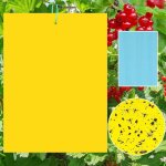 6 pi�ces pi�ges � insectes jaunes, collants double face pour mouches et insectes blancs, papier anti ...