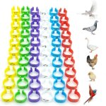 60 pices anneaux d'identification pour poulet bague d'identification des oiseaux anneaux de jambe en ...