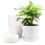 8 pi�ces 14 cm pots plastique plantes, cache pot interieur exterieur, pot de fleur avec plateaux, convient ...