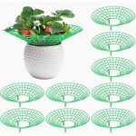9 pi�ces support fraisier, plastique amovible supports pour fraises diam�tre 30. 6 cm support de culture ...